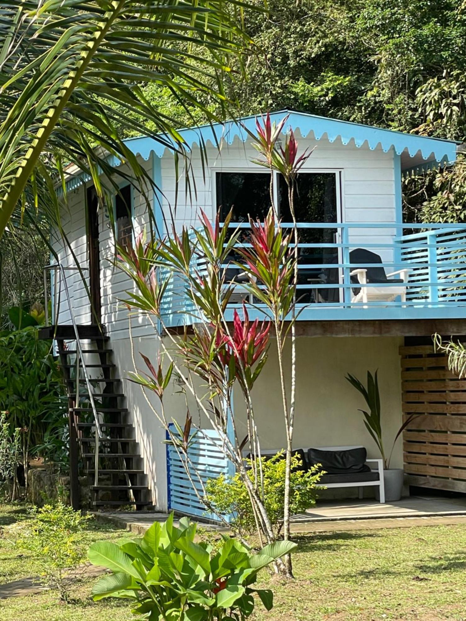 Dolphin Blue Paradise Bocas del Toro Exterior foto