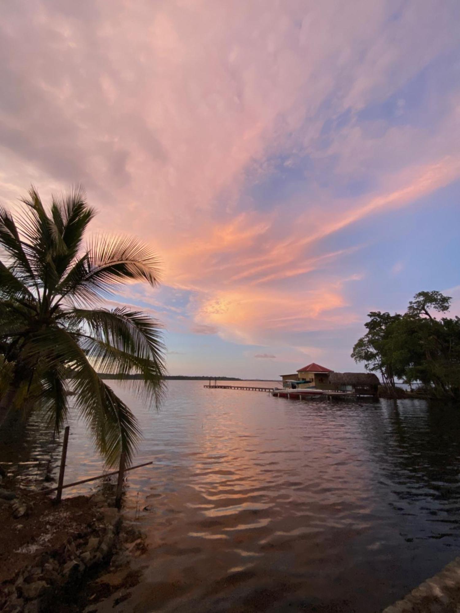Dolphin Blue Paradise Bocas del Toro Exterior foto