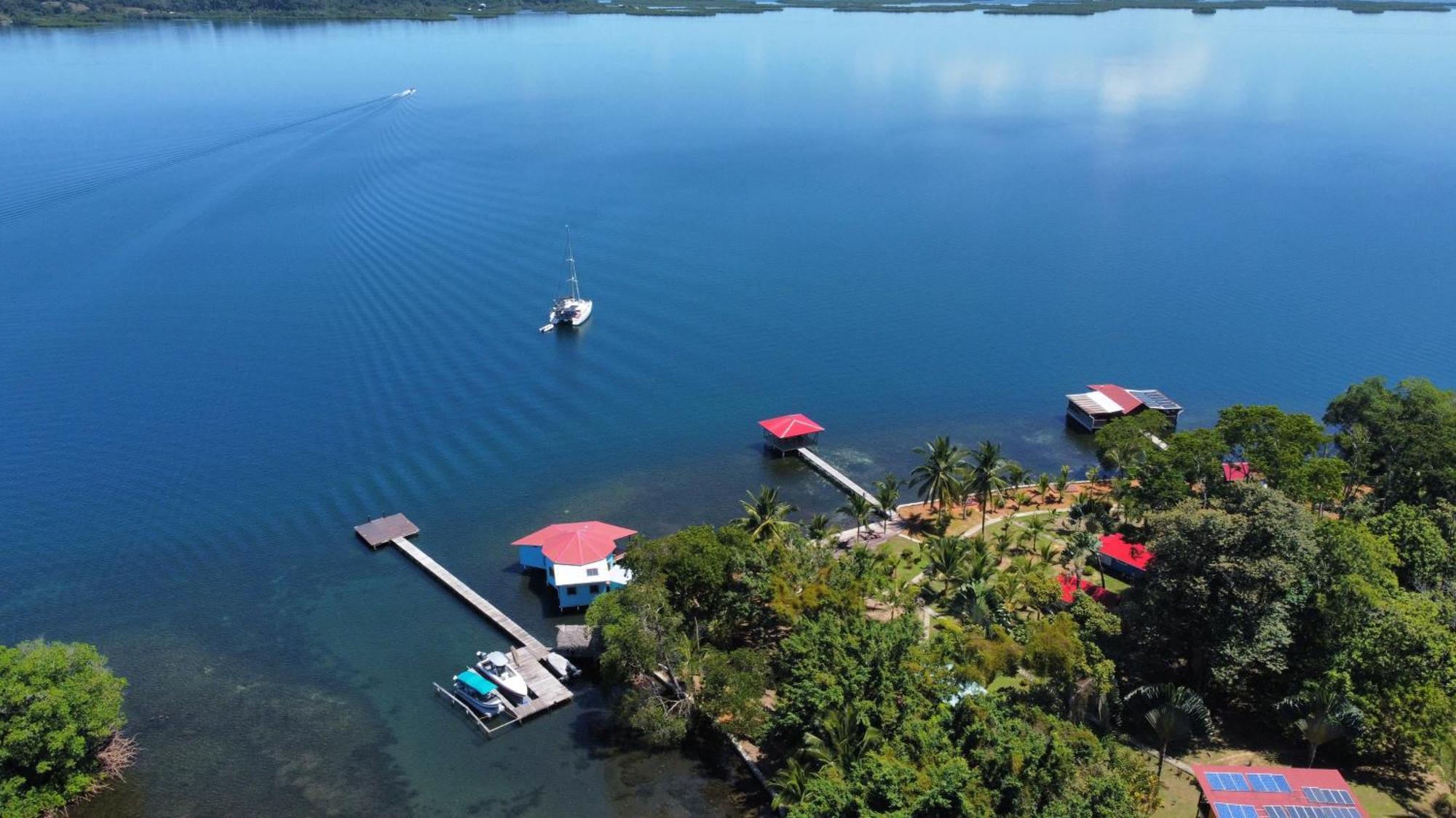 Dolphin Blue Paradise Bocas del Toro Exterior foto